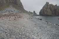 
DSC00161